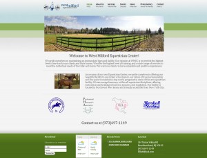 website design rochester ny